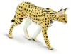 Figurine de serval Safari Ltd, jaune, à partir de 3 ans, Voir les images du produit 2