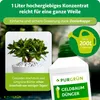 A bottle of plant fertilizer with a picture of a jade plant and marketing text. Produktbild-Vorschau
