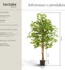 Umělý fíkus Fida, realistická textura - 160 cm Náhled obrázku produktu 7
