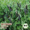 Samenliebe  Erbse Samen | Blauwschokker - blau & aromatisch Produktbild-Vorschau 4