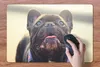 MuchoWow® Schreibtischunterlage Französische Bulldogge - Produktbild-Vorschau 3