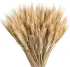 50pcs Trockenblumen Weizen Natürliche Getrocknete Blumen Produktbild-Vorschau 1