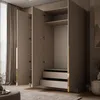 Kippschrank AUREL KASCHMIR 3D, Gold Chrom Griffe, Spiegel Produktbild-Vorschau 3