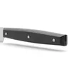 COUTEAUX DE TABLE - Black Pearl couteau de table lame de Voir les images du produit 4