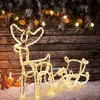 LED Rentier mit Schlitten 12m Lichtschlauch IP44 innen & Produktbild-Vorschau 4