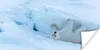 MuchoWow® Poster Eisbär - Schnee - Kälte 40x20 cm - Poster Produktbild-Vorschau 1