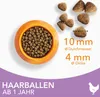 IAMS anti-hairball cat food dry con pollo - cibo secco per Anteprima dell’immagine prodotto 5