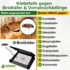 Brotkäfer Falle mit Pheromon-Lockstoff - 1x Falle -  Produktbild-Vorschau 6