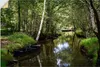 ARTland Wandbild, selbstklebend Romantische Flusslandschaft Produktbild-Vorschau 1