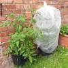 Meister Tomatenvlies-Haube 5 x 0,8 m - 30 g/m² - PP - Produktbild-Vorschau 2
