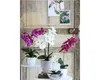 Mica Kunstpflanze Phalaenopsis im Topf weiß, 26 x 12 cm Produktbild-Vorschau 2