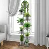 A multi-tiered plant stand filled with various potted plants is placed next to a window with white curtains. Anteprima dell’immagine prodotto