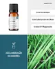 Vetiver (10ml) - naturreines, ätherisches Öl von wesentlich Produktbild-Vorschau 2