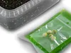 DELPHIN Reaxe READY&GO, aromatisierte Pellets, Produktbild-Vorschau 2