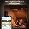 Philips Hue White ambience Runner Doppelspot, Produktbild-Vorschau 5