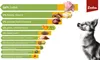 A diagram showing the ingredients of dog food, with a dog looking up at the top right. Podgląd zdjęcia produktu