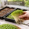 Samenshop24®  Keimsprossen "Brokkoli" Anzucht-SET,  Saat + Produktbild-Vorschau 6