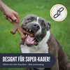 Supravit ChewDeer Hundespielzeug für starke Kauer Produktbild-Vorschau 2