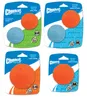 Chuckit! Hundespielzeug Fetch Ball, Größe: M Produktbild-Vorschau 2