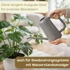 Gießkanne Zimmerpflanzen 3,8 L Gießkanne Groß Produktbild-Vorschau 4