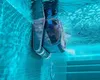 Dolphin M700 Poolroboter mit Spezial PVC Bürsten Produktbild-Vorschau 6