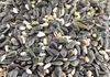Getzoo Sonnenblumenkern Mischung 100g Produktbild-Vorschau 2