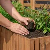 Hands planting a seedling in a wooden planter box. Anteprima dell’immagine prodotto