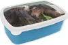 KitchenYeah® Lunchbox Brotzeit Brotdose 17x11 cm Pferde - Produktbild-Vorschau 1
