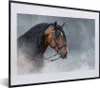 MuchoWow® MuchoWow® Gerahmtes Poster Pferd - Smoke - Produktbild-Vorschau 1