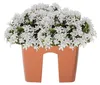 Geländer-Blumenkasten CROWN DCRO400 | Terrakotta Produktbild-Vorschau 35