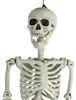 Realistisches Positionierbares Halloween Skelett 90cm für Produktbild-Vorschau 6