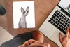 MuchoWow® Mauspad Mousepad Überrascht Sphynx auf einem Produktbild-Vorschau 3