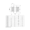 Profec Gewindemuffe, PVC-U. 1 Zoll Innengewinde, 10 bar, Produktbild-Vorschau 2