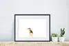 MuchoWow® MuchoWow® Gerahmtes Poster Eisvogel - Federn - Produktbild-Vorschau 6