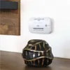 Detektor oxidu uhelnatého GS827 Podgląd zdjęcia produktu