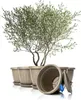 BigDean 6x Blumentopf mit Untersetzer rund ø50xH38 cm Produktbild-Vorschau 1
