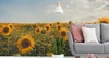 Muralo XXL Selbstklebende FOTOTAPETE FELD Sonnenblumen Produktbild-Vorschau 4
