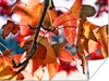 MuchoWow® Poster Ahorn - Blätter - Rustikal - Herbst 120x90 Produktbild-Vorschau 1