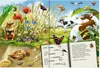 Mein riesengroßes WimmelSuchBuch: Tiere über und unter der Produktbild-Vorschau 4