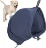A light-colored puppy is running towards a dark blue dog ear protector. Produktbild-Vorschau