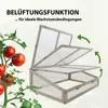 A wooden cold frame with its lids open, next to a tomato plant with ripe tomatoes. Green arrows indicate ventilation. Produktbild-Vorschau