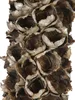 EUROPALMS Cacho Coco, hoogte ongeveer 120-190 cm Productafbeelding-voorbeeld 2