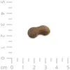 5 x 250g - hochwertiger Schwarzkümmel Snack - mit Produktbild-Vorschau 4