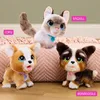 Furreal Poopalots Piesek Interaktywny na smyczy Hasbro Podgląd zdjęcia produktu 14