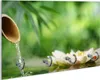 Wallario Schlüsselbrett aus Glas, Motiv: Seerosen und Produktbild-Vorschau 1
