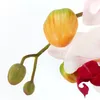 Umělá květina orchidej phalaenopsis 3D-tisk v keramickém Náhled obrázku produktu 5
