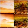 Bilder auf glas - Einteilig - Weinberg Aussicht Landschaft Produktbild-Vorschau 8