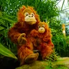 Plüsch-Orang-Utan mit Baby 28 cm Eco-f. Produktbild-Vorschau 2
