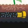 Tuyau d'irrigation goutte à goutte 15m Tuyau perlé Tuyau Voir les images du produit 7