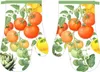 Rękawice kuchenne z magnesem Vege F719124B Zestaw 2 rękawic Podgląd zdjęcia produktu 4